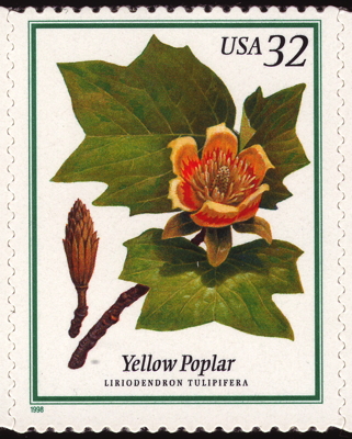 Tulpenbaum  auf Briefmarke, USA, 1998 