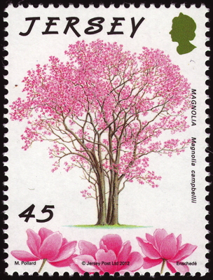 Briefmarke: Sikkim-Magnolie, Jersey, 2012