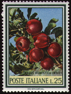 Kulturapfel 'Melo' auf Briefmarke, Italien, 1967