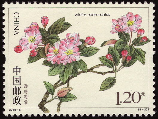 Briefmarke: Zwergzier-Apfel, China, 2018