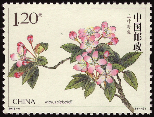 Briefmarke: Siebolds Apfel, China, 2018