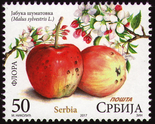 Briefmarke: Holz-Apfel, Serbien, 2017