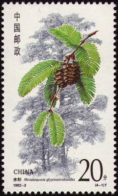 Urweltmammutbaum auf Briefmarke, China, 1992