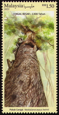 Briefmarke: Chengal tree, Malaysia, 2023