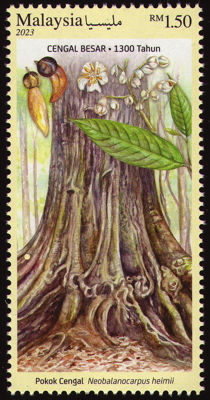 Briefmarke: Chengal tree, Malaysia, 2023