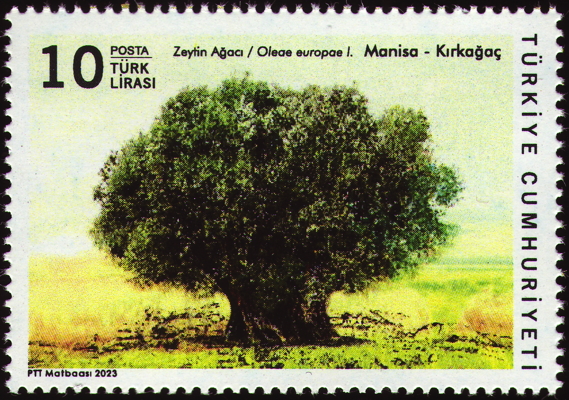 Briefmarke: Kultur-Ölbaum, Türkei, 2023
