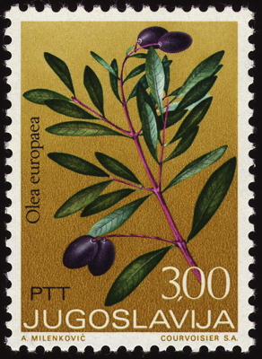 Briefmarke: Kultur-Ölbaum, Jugoslawien, 1973