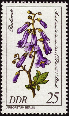 Blauglockenbaum auf Briefmarke, DDR, 1981