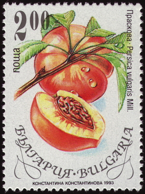 Briefmarke: Pfirsisch, Bulgarien, 1993