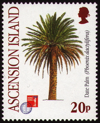 Briefmarke: Echte Dattelpalme, Ascension, 1997