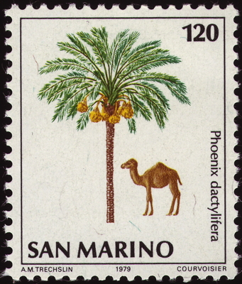 Briefmarke: Echte Dattelpalme, San Marino, 1979