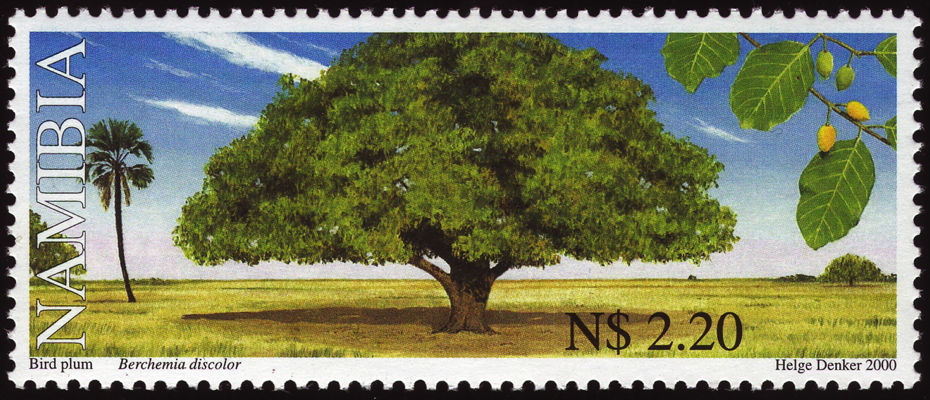Briefmarke: Bird plum, Namibia, 2000