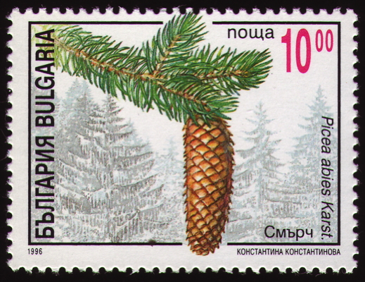 Briefmarke: Gewöhnliche Fichte, Bulgarien, 1996