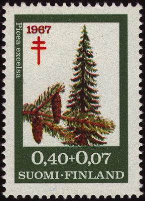 Briefmarke: Gewöhnliche Fichte, Finnland, 1967