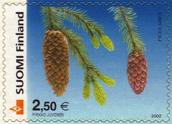 Gewöhnliche Fichte auf Briefmarke, Finnland, 2002