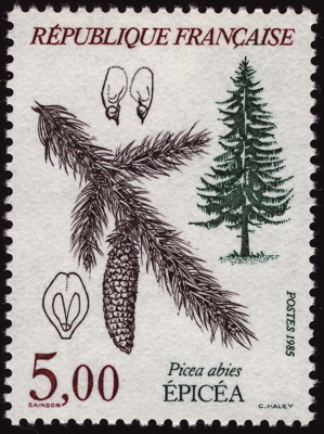 Briefmarke: Gewöhnliche Fichte, Frankreich, 1985