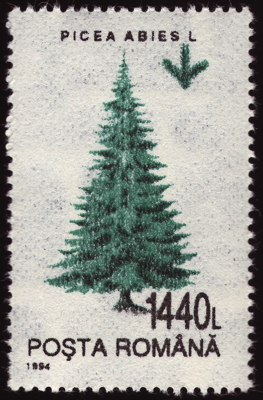 Briefmarke: Gewöhnliche Fichte, Rumänien, 1994