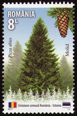 Gewöhnliche Fichte auf Briefmarke, Rumänien, 2017