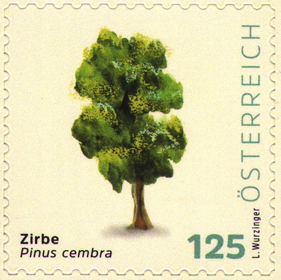Briefmarke: Europäische Zirbel-Kiefer, Österreich, 2026