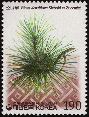 Briefmarke: Japanische Rot-Kiefer, Korea, Süd, 2004