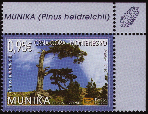Briefmarke: Panzer-Kiefer, Schlangenhaut-Kiefer, Montenego, 2015