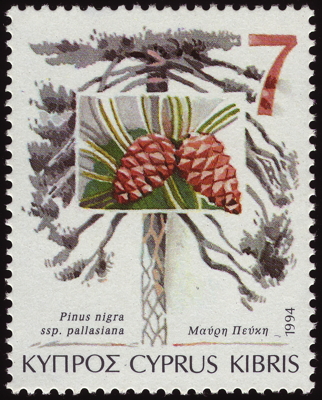 Krim-Kiefer auf Briefmarke, Zypern, 1994