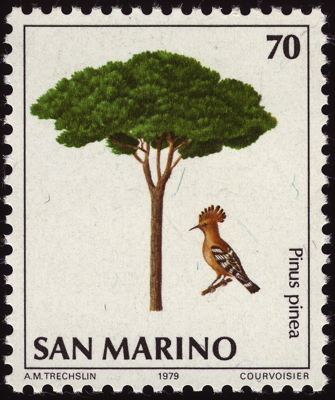 Briefmarke: Pinie, San Marino, 1979