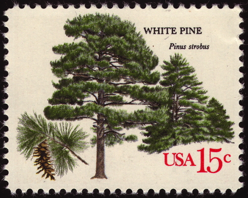 Briefmarke: Weymouths-Kiefer, USA, 1978