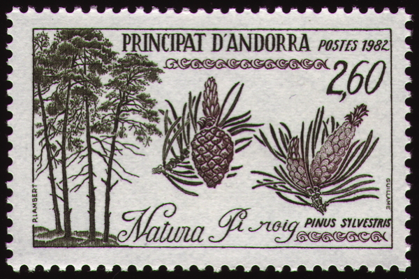Briefmarke: Wald-Kiefer, Andorra, 1982