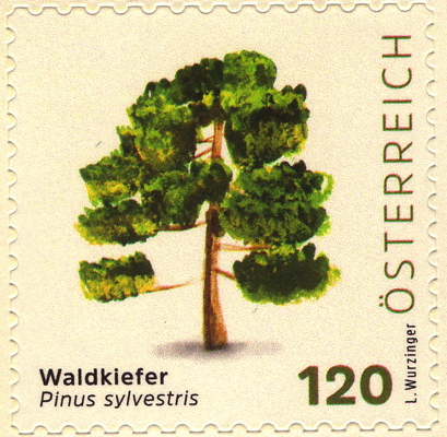 Wald-Kiefer auf Briefmarke, Österreich, 2025