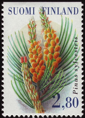 Wald-Kiefer auf Briefmarke, Finnland, 1995