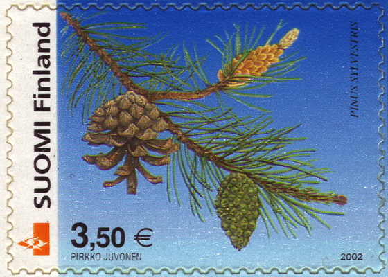 Wald-Kiefer auf Briefmarke, Finnland, 2002