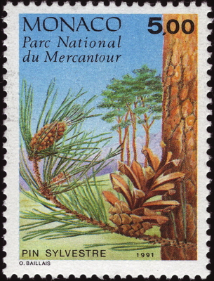 Wald-Kiefer auf Briefmarke, Monaco, 1991