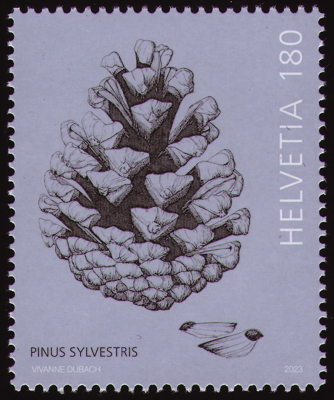 Briefmarke: Wald-Kiefer, Schweiz, 2023
