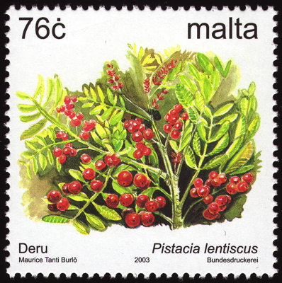 Briefmarke: Pistazie, Mastixstrauch, Malta, 2003
