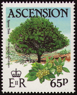 Briefmarke: Victoria-Klebsame, Ascension, 1985