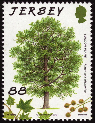 Briefmarke: Ahornblättrige Platane, Jersey, 2012