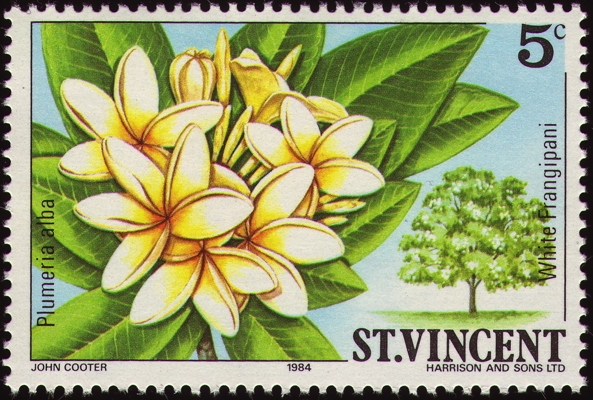 Briefmarke: Westindische Frangipani, Saint Vincent 1984