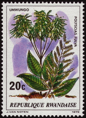 Briefmarke: Parasol Tree, Ruanda, 1979