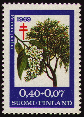 Gewöhnliche Traubenkirsche auf Briefmarke, Finnland, 1969