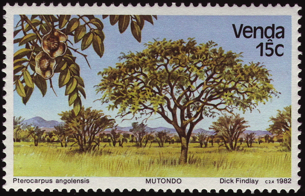 Briefmarke: Blutholzbaum, Südafrika, Venda, 1982