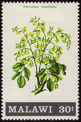 Briefmarke: Round-leaved bloodwood, Malawi, 1971