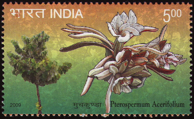 Briefmarke: Tellerbaum, Bayur Tree, Indien, 2009