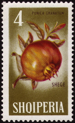 Briefmarke: Granatapfel, Albanien, 1965
