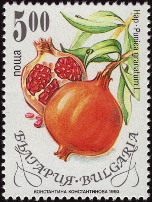 Briefmarke: Granatapfel, Bulgarien, 1993