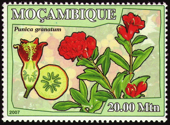 Briefmarke: Granatapfel, Mosambik, 2007