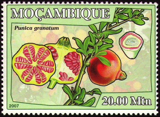 Briefmarke: Granatapfel, Mosambik, 2007