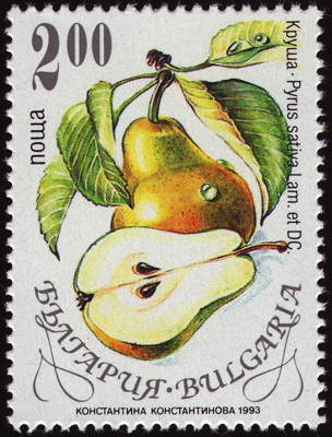 Birnenbaum auf Briefmarke, Bulgarien, 1993