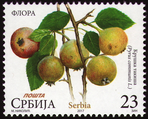 Birnenbaum auf Briefmarke, Serbien, 2017
