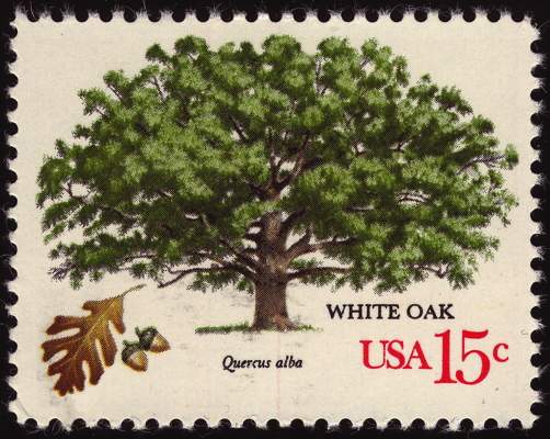Briefmarke: Weiß-Eiche, USA, 1978